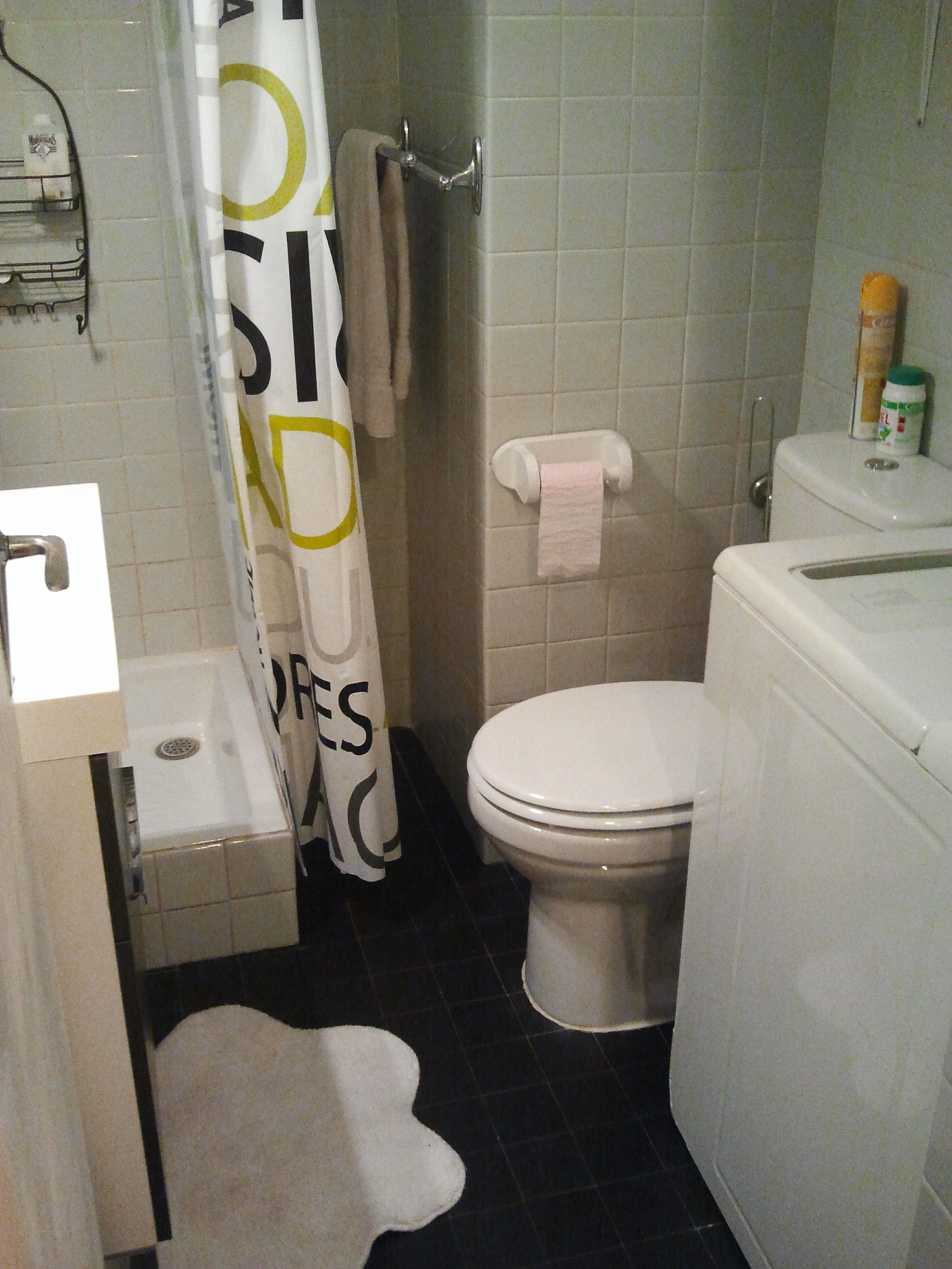 salle de bain + lave linge