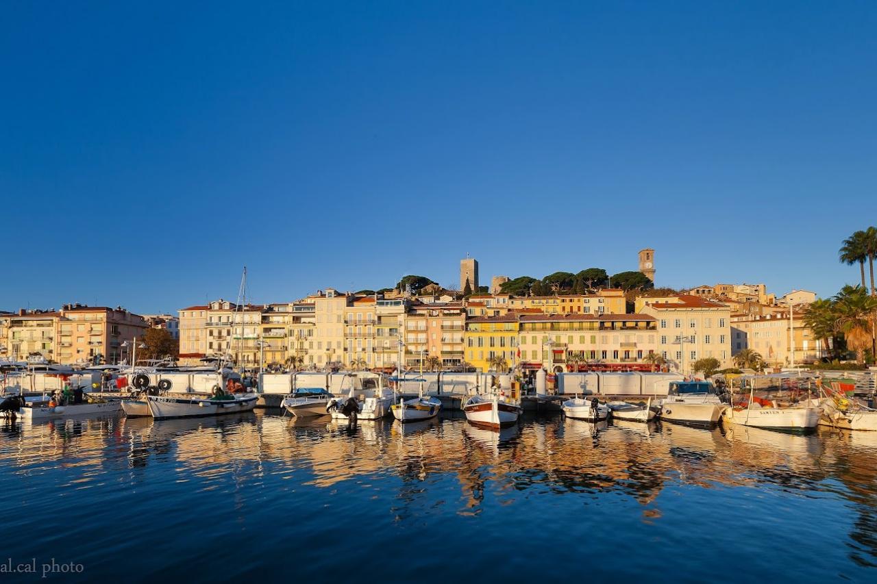 Cannes vieux port